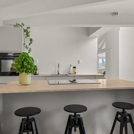 Exclusive Penthouse With Terrace Leilighet